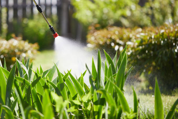 24/7 Emergency Wasp Removal experts in Stanton, CA