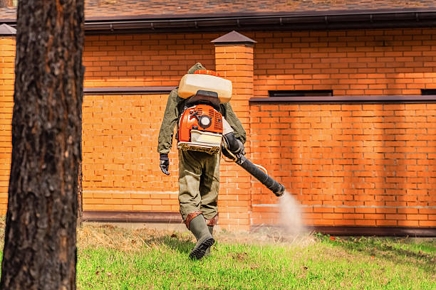 Top rated local Wasp Removal specialists in Stanton, CA